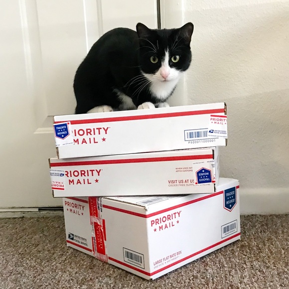 Meet your Posher, Michelle - Picture 2 of 2